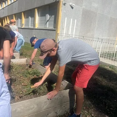 Potager — photo 2